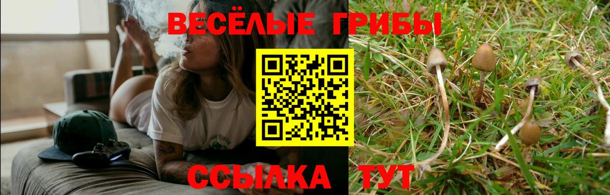 Псилоцибиновые грибы MAGIC MUSHROOMS  Вход с VPN  Можга 